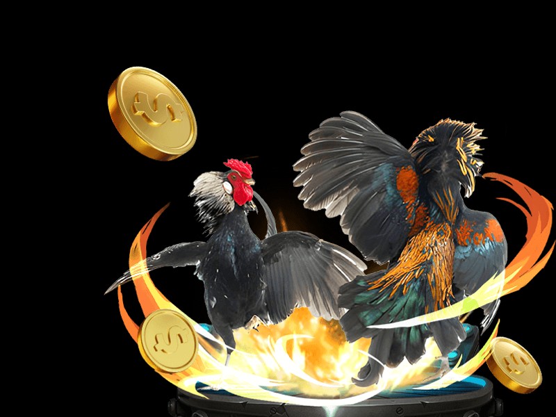 Công nghệ livestream HD của nohu666